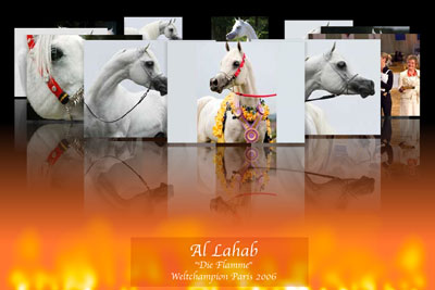 Al Lahab Flash-Intro