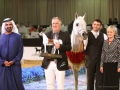 Al Lahab - Champion of the Dubai International Arabian Horse Championship