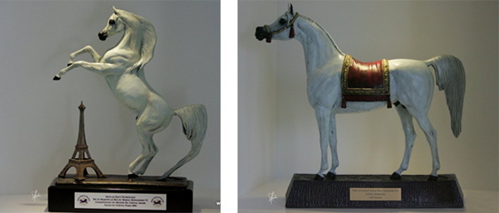 Friedmann Arabians