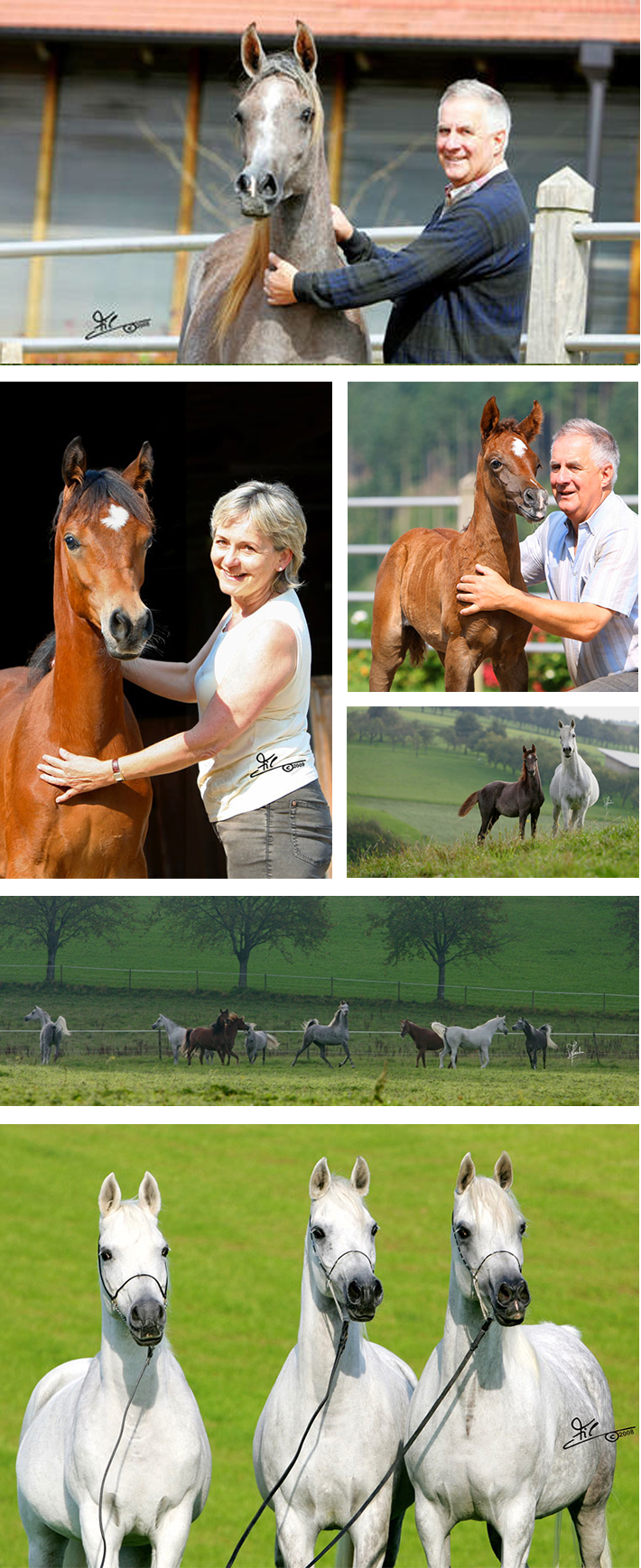 breedingprogram-col2