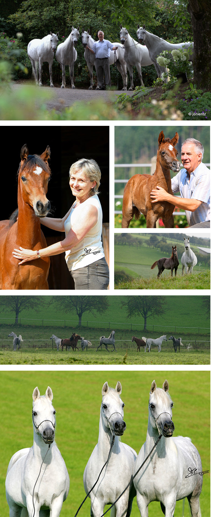 breedingprogram-col2